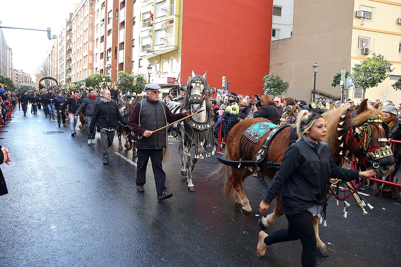 Valencia celebra a Sant Antoni, abad, un any més