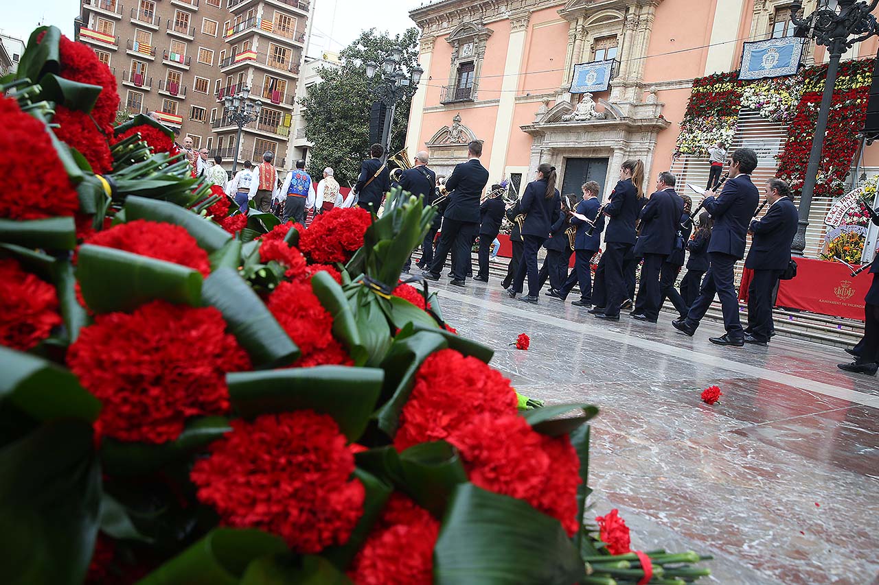 Color de las flores de la Ofrenda