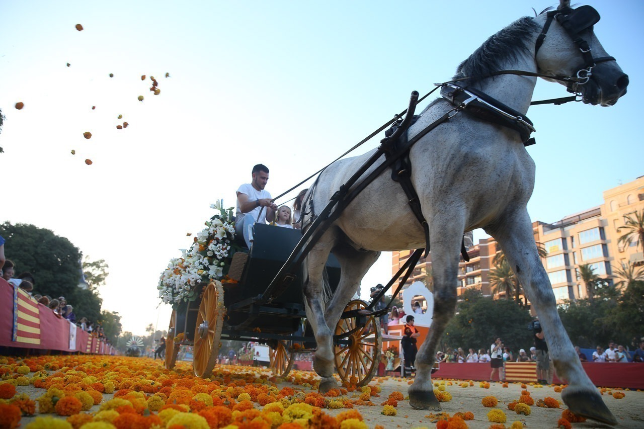 Inscripció per al sorteig de les llotges de la Batalla de Flors