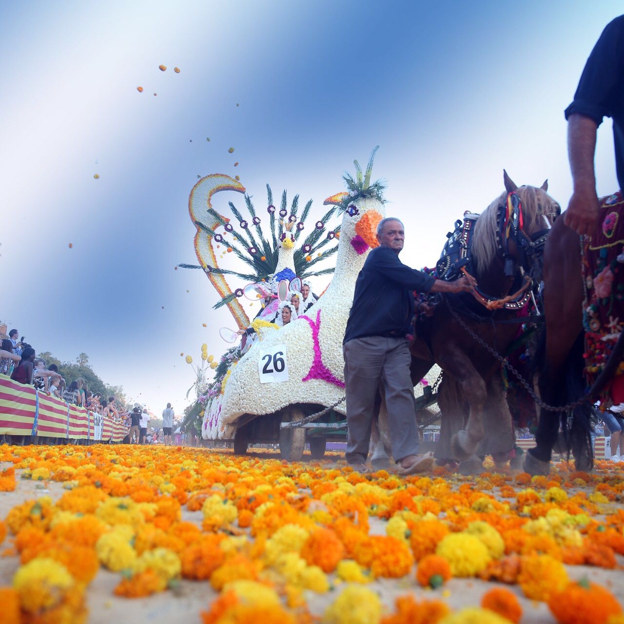 Premios de la Batalla de Flores