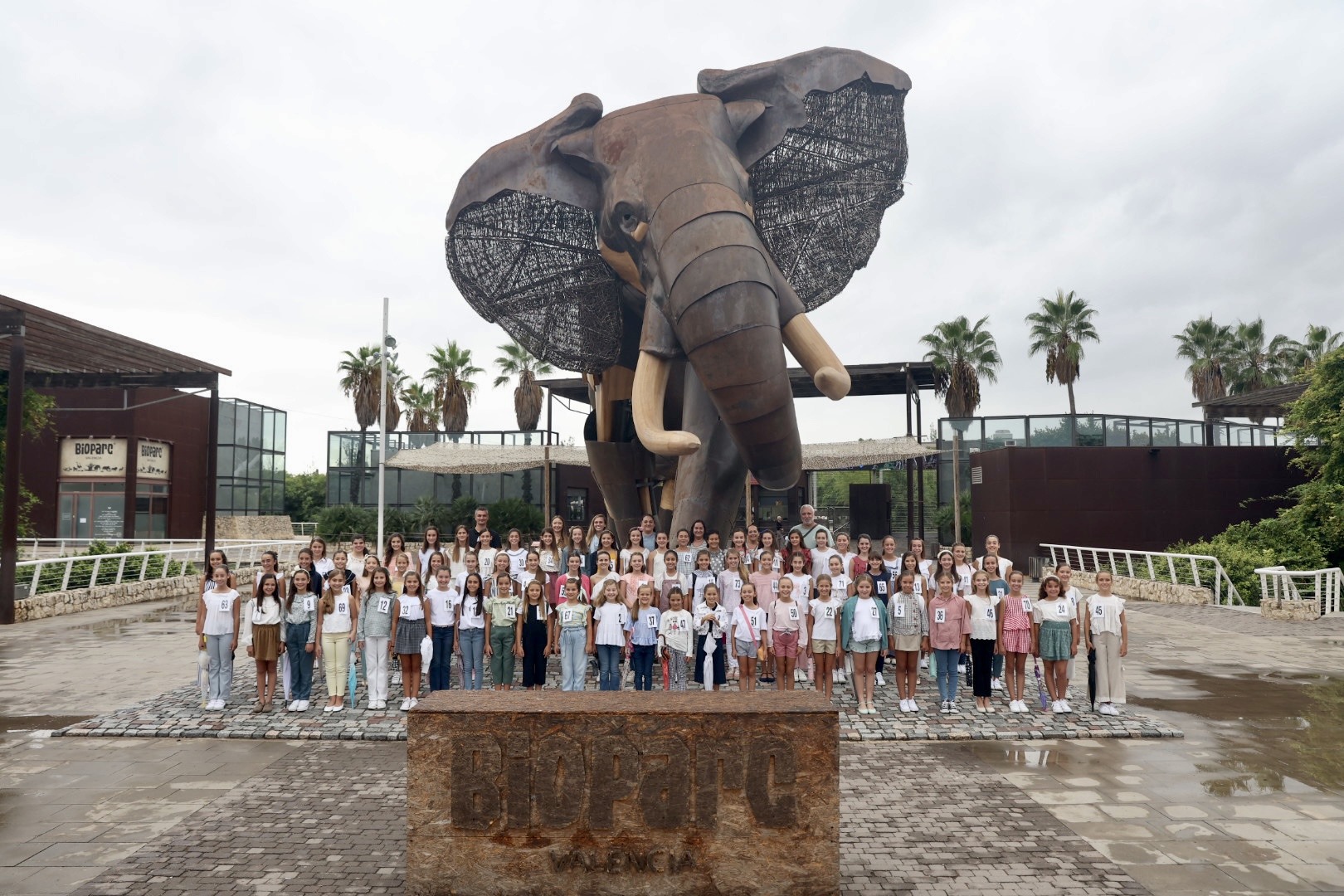 Las candidatas a Falleras Mayores de València 2023 visitan el Museo de la Seda, el estadio de Mestalla y el Bioparc