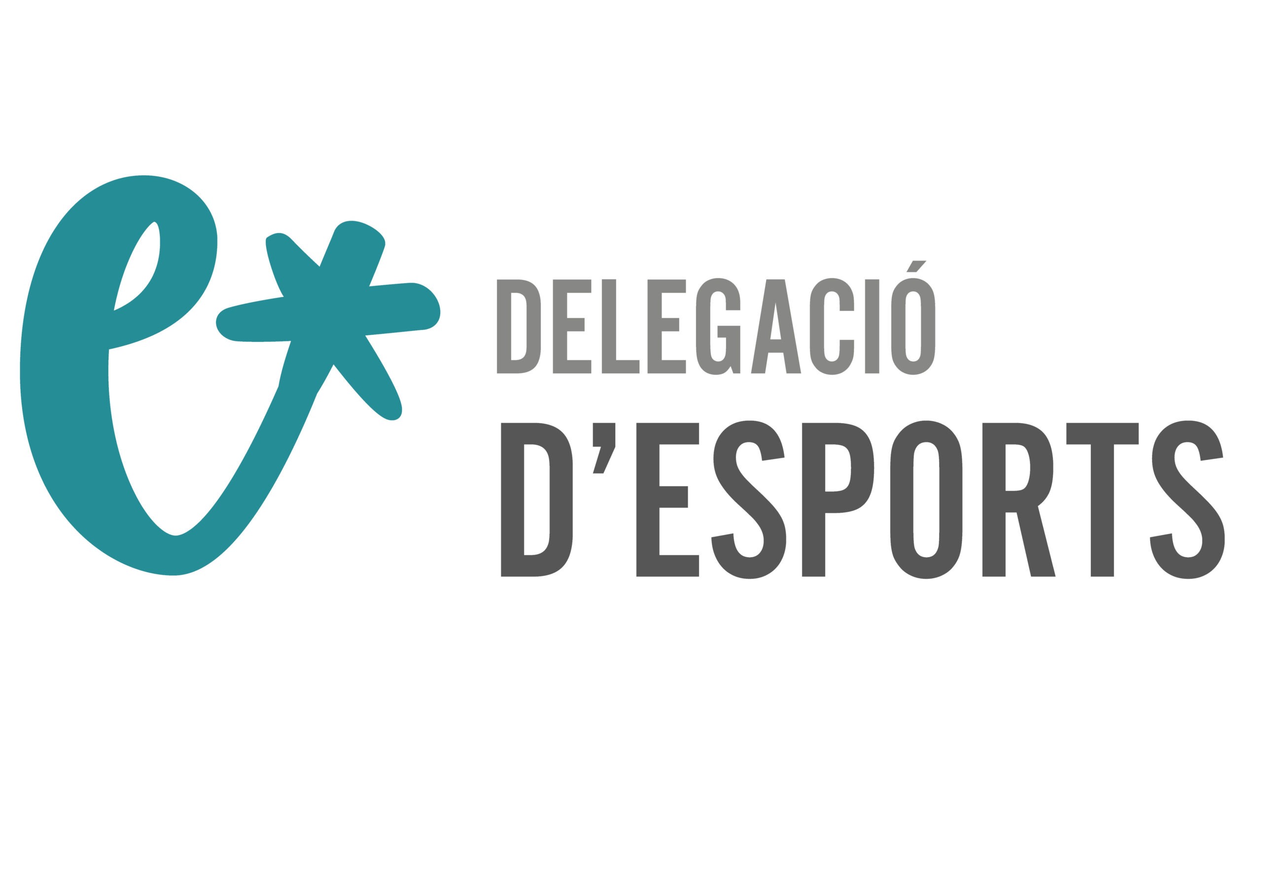 Reunió amb els responsables d’esports de les comissions falleres