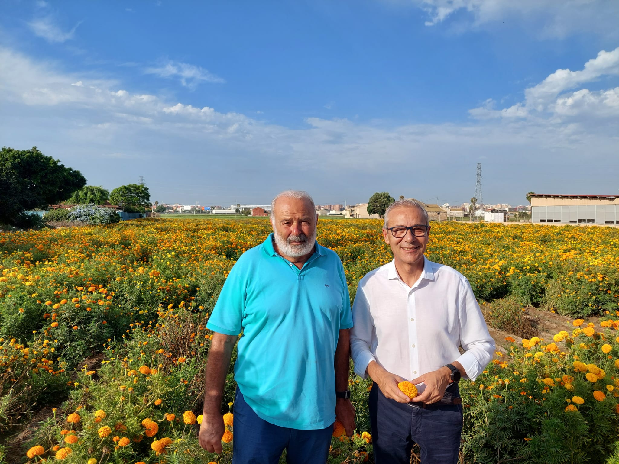 València, preparada per a la tradicional Batalla de Flors amb 1,2 milions de clavellons